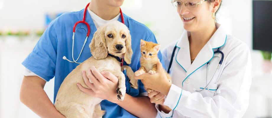 The Best Veterinarians in Livonia, MI: Exceptional Care for All Kinds of Pets